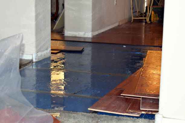 Professional Basement Water Removal technician working in Delta, OH